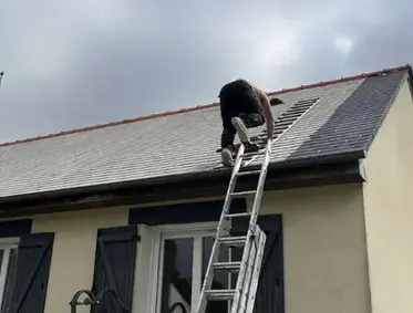 nettoyage des toitures Pacé-3