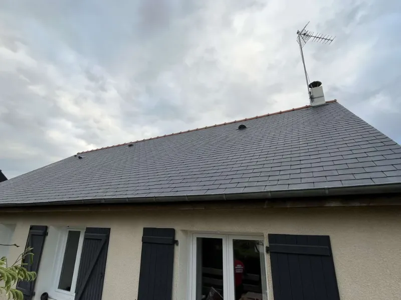 nettoyage toiture janze
