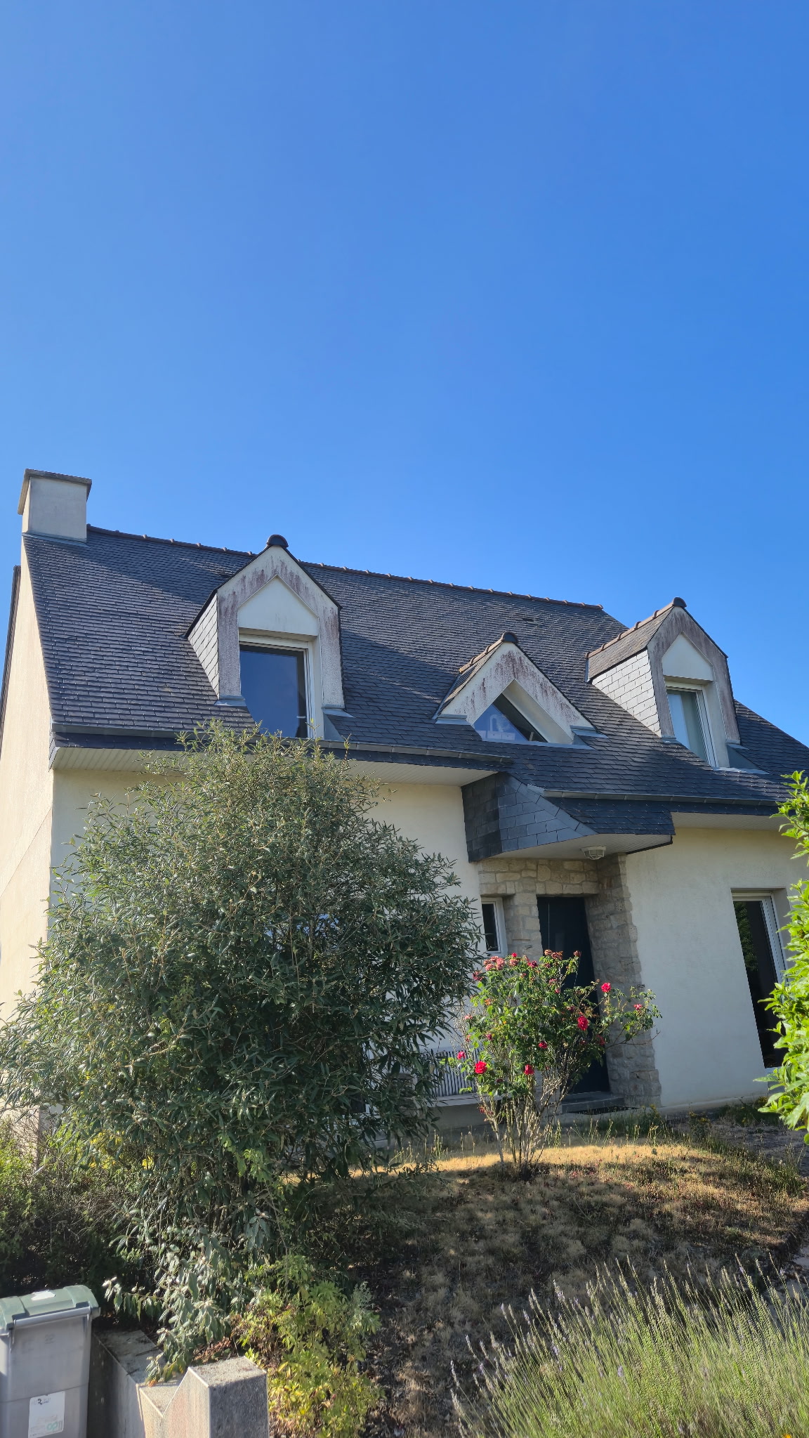 peintre en batiment bruz