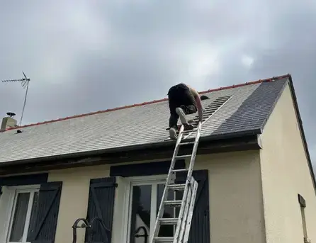 pose clôtures Bruz-1