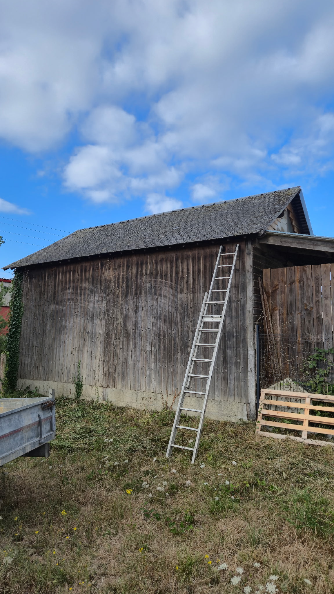 before-image