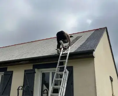 travaux de rénovation Pacé-1